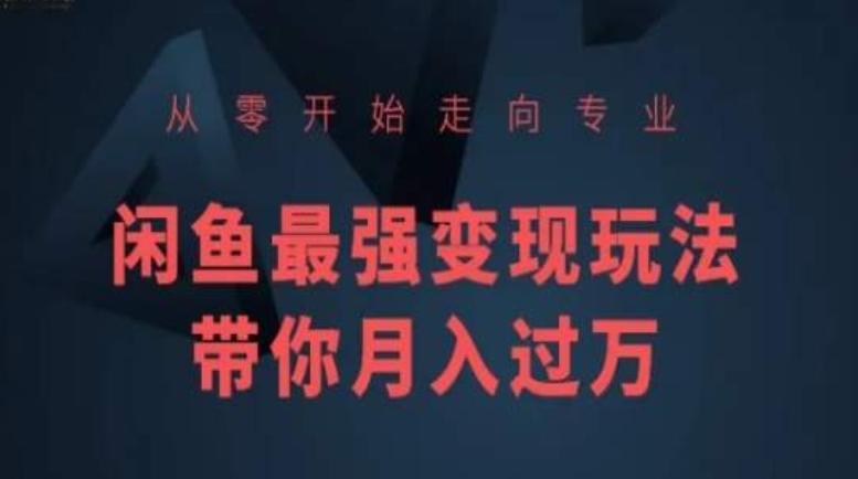 从零开始走向专业，闲鱼最强变现玩法带你月入过万-点子口袋网