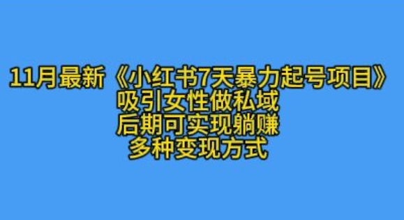 K总部落11月最新小红书7天暴力起号项目，吸引女性做私域【揭秘】-点子口袋网