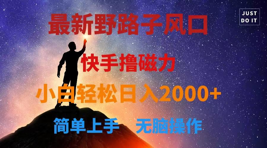 最新风口！快手撸磁力，野路子，小白无脑操作日入2000+-点子口袋网