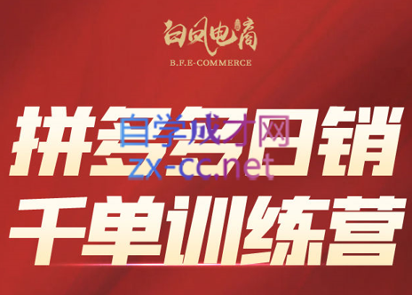 白凤电商学院·拼多多日销千单训练营(更新7月)-点子口袋网