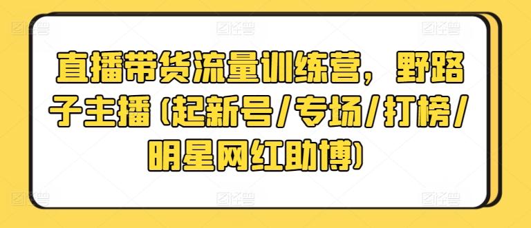 直播带货流量训练营，野路子主播(起新号/专场/打榜/明星网红助博)-点子口袋网