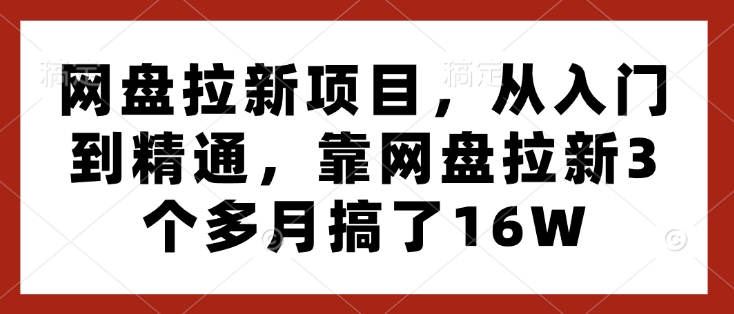 网盘拉新项目，从入门到精通，靠网盘拉新3个多月搞了16W-点子口袋网