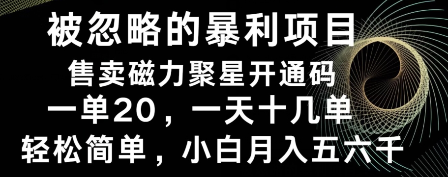 被忽略的暴利项目！售卖磁力聚星开通码，一单20，一天十几单，轻松月入五六千-点子口袋网