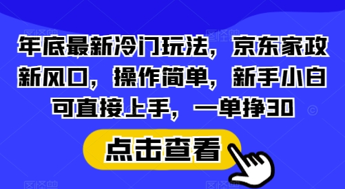 年底最新冷门玩法，京东家政新风口，操作简单，新手小白可直接上手，一单挣30【揭秘】-点子口袋网