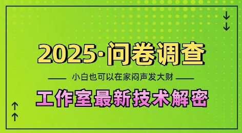 2025问卷调查最新工作室技术解密：一个人在家也可以闷声发大财，小白一天2张，可矩阵放大【揭秘】-点子口袋网