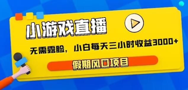 小游戏直播，假期风口项目，无需露脸，小白每天三小时，到账3000+-点子口袋网