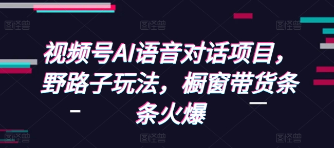 视频号AI语音对话项目，野路子玩法，橱窗带货条条火爆-点子口袋网