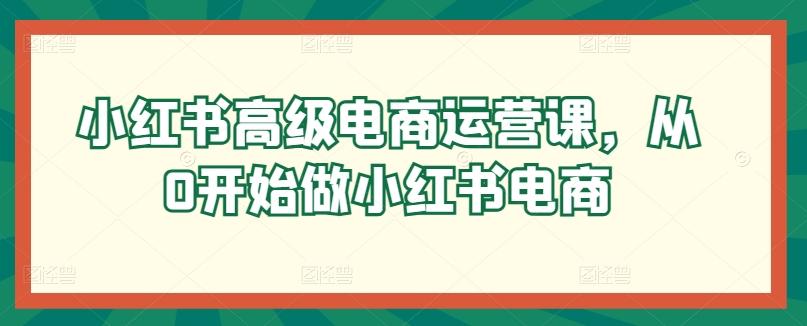 小红书高级电商运营课，从0开始做小红书电商-点子口袋网
