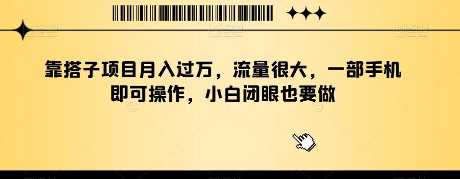 靠搭子项目月入过万，流量很大，一部手机即可操作，小白闭眼也要做-点子口袋网