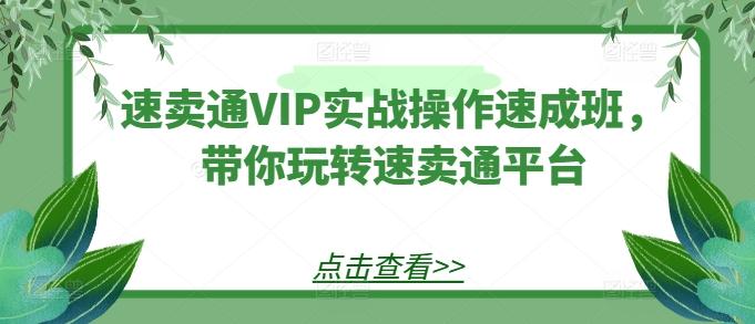 速卖通VIP实战操作速成班，带你玩转速卖通平台-点子口袋网