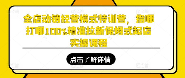 全店动销经营模式特训营，指哪打哪100%精准拉新保姆式起店实操课程-点子口袋网