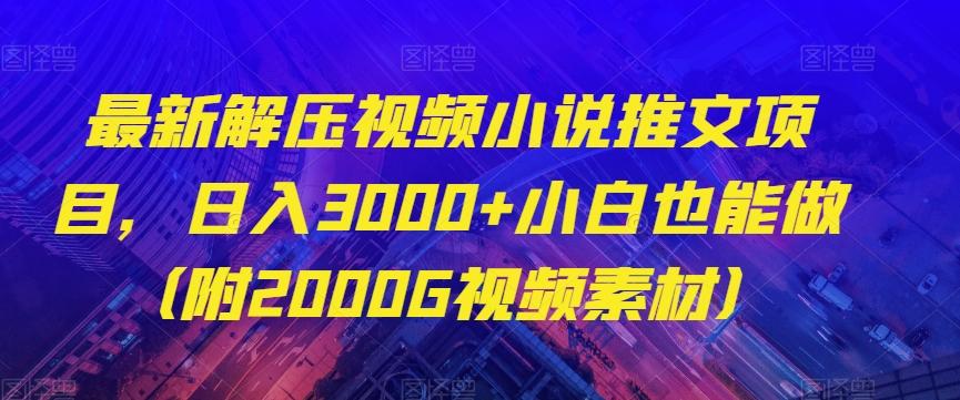 最新解压视频小说推文项目，日入3000+小白也能做（附2000G视频素材）【揭秘】-点子口袋网