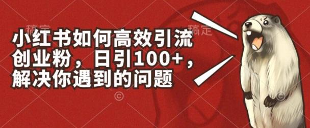 小红书如何高效引流创业粉，日引100+，解决你遇到的问题【揭秘】-点子口袋网