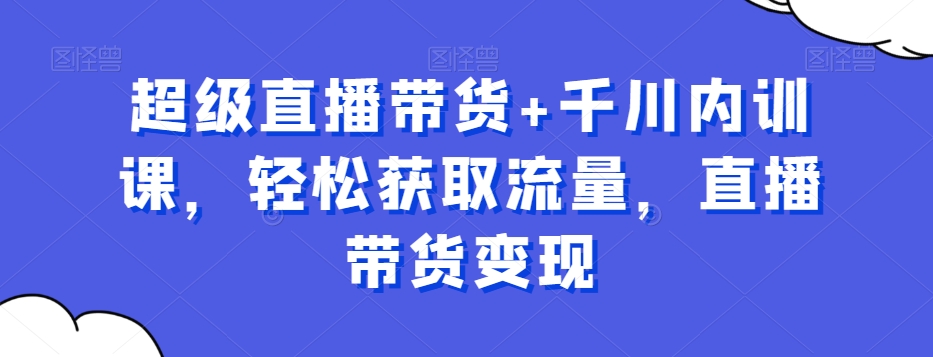 超级直播带货+千川内训课，轻松获取流量，直播带货变现-点子口袋网