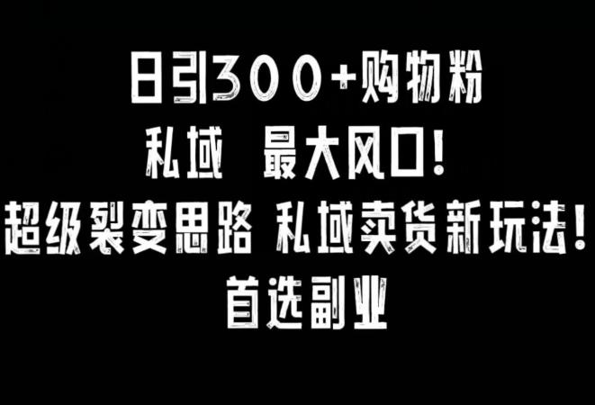 日引300+购物粉，超级裂变思路，私域卖货新玩法，小红书首选副业【揭秘】-点子口袋网