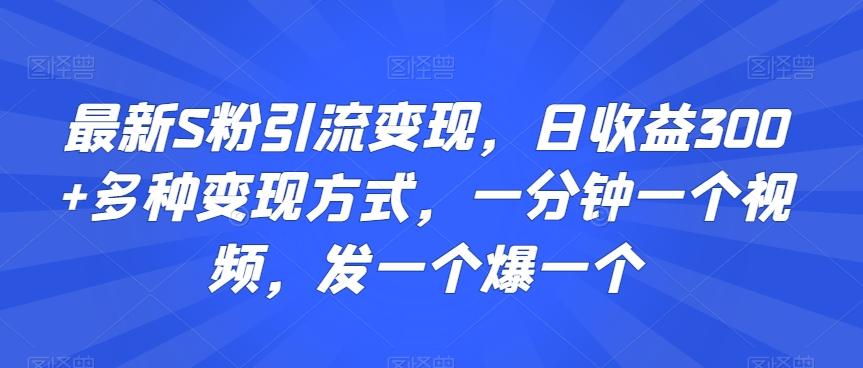 最新S粉引流变现，日收益300+多种变现方式，一分钟一个视频，发一个爆一个【揭秘】-点子口袋网