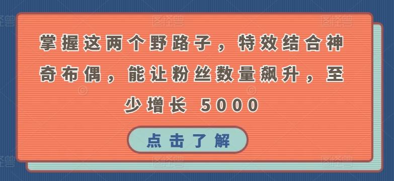掌握这两个野路子，特效结合神奇布偶，能让粉丝数量飙升，至少增长 5000【揭秘】-点子口袋网