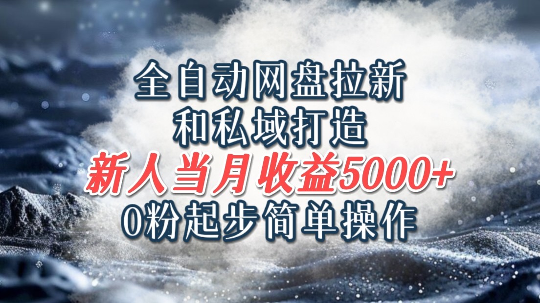 全自动网盘拉新和私域打造，0粉起步简单操作，新人入门当月收益5000以上-点子口袋网