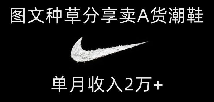 靠图文种草分享卖A货潮鞋，每天一小时，单月收入2万+【揭秘】-点子口袋网