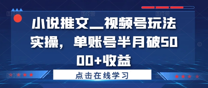 小说推文—视频号玩法实操，单账号半月破5000+收益-点子口袋网