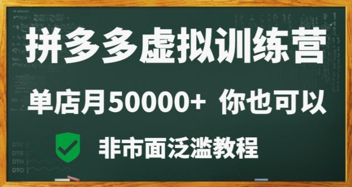拼多多虚拟电商训练营月入30000+你也行，暴利稳定长久，副业首选-点子口袋网