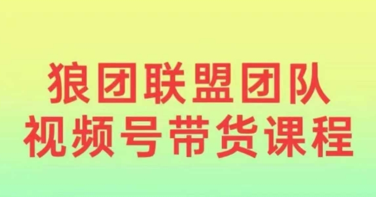 狼团联盟2024视频号带货，0基础小白快速入局视频号-点子口袋网