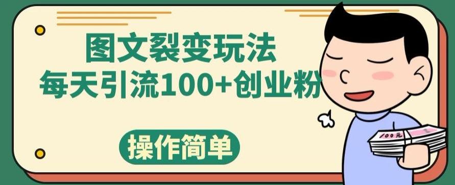图文裂变玩法，每天引流100+创业粉，操作简单-点子口袋网
