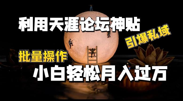 利用天涯论坛神贴，引爆私域，批量操作，小白轻松月入过w【揭秘】-点子口袋网