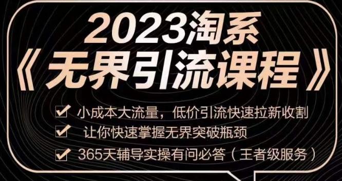 2023淘系无界引流实操课程，​小成本大流量，低价引流快速拉新收割，让你快速掌握无界突破瓶颈-点子口袋网