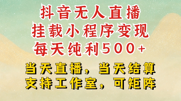 抖音无人直播挂载小程序变现每天纯利500+当天直播，当天结算支持工作室，可矩阵【揭秘】-点子口袋网