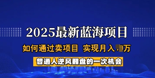 2025蓝海项目，普通人如何通过卖项目，实现月入过W，全过程【揭秘】-点子口袋网