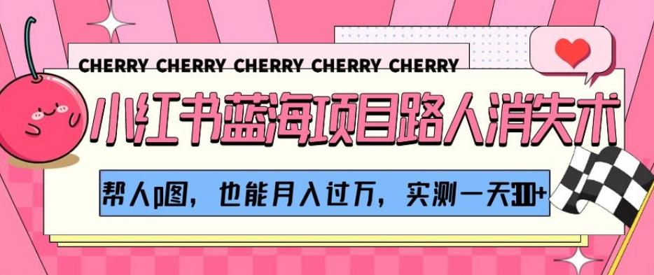 小红书蓝海项目路人消失术，帮人p图，也能月入过万，实测一天300+【揭秘】-点子口袋网