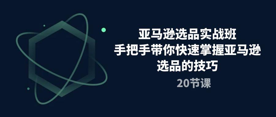 亚马逊选品实战班，手把手带你快速掌握亚马逊选品的技巧(20节课-点子口袋网