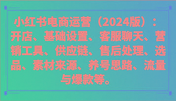 小红书电商运营(2024版)：开店、设置、供应链、选品、素材、养号、流量与爆款等-点子口袋网