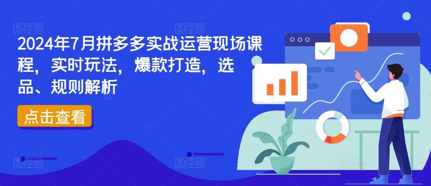 2024年7月拼多多实战运营现场课程，实时玩法，爆款打造，选品、规则解析-点子口袋网