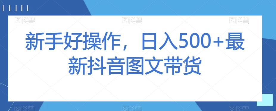 新手好操作，日入500+最新抖音图文带货【揭秘】-点子口袋网