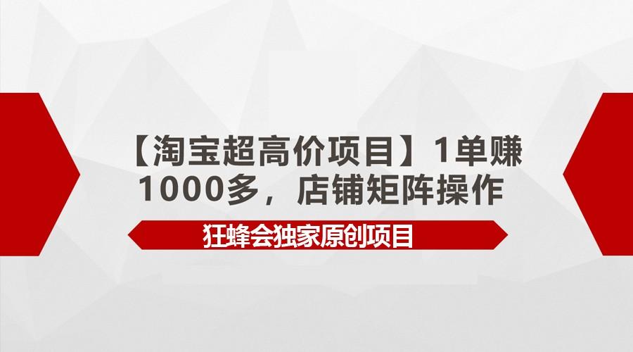 【淘宝超高价项目】1单赚1000多，店铺矩阵操作-点子口袋网