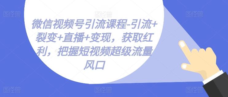 微信视频号引流课程-引流+裂变+直播+变现，获取红利，把握短视频超级流量风口-点子口袋网