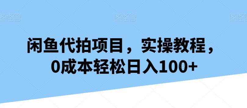闲鱼代拍项目，实操教程，0成本轻松日入100+-点子口袋网