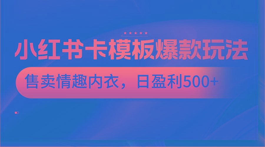 小红书卡模板爆款玩法，售卖情趣内衣，日盈利500+-点子口袋网