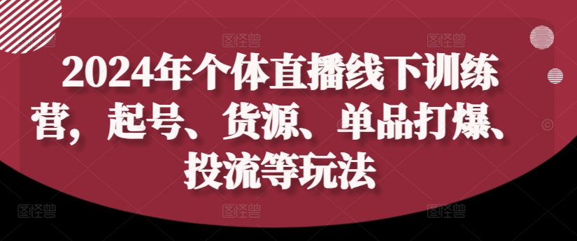 2024年个体直播训练营，起号、货源、单品打爆、投流等玩法-点子口袋网