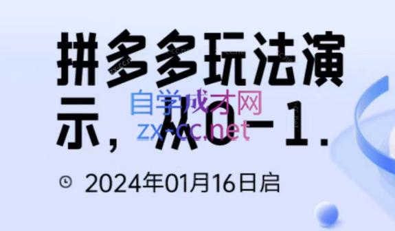 吴老师·拼多多从选品到截流到付费的玩法技巧-点子口袋网