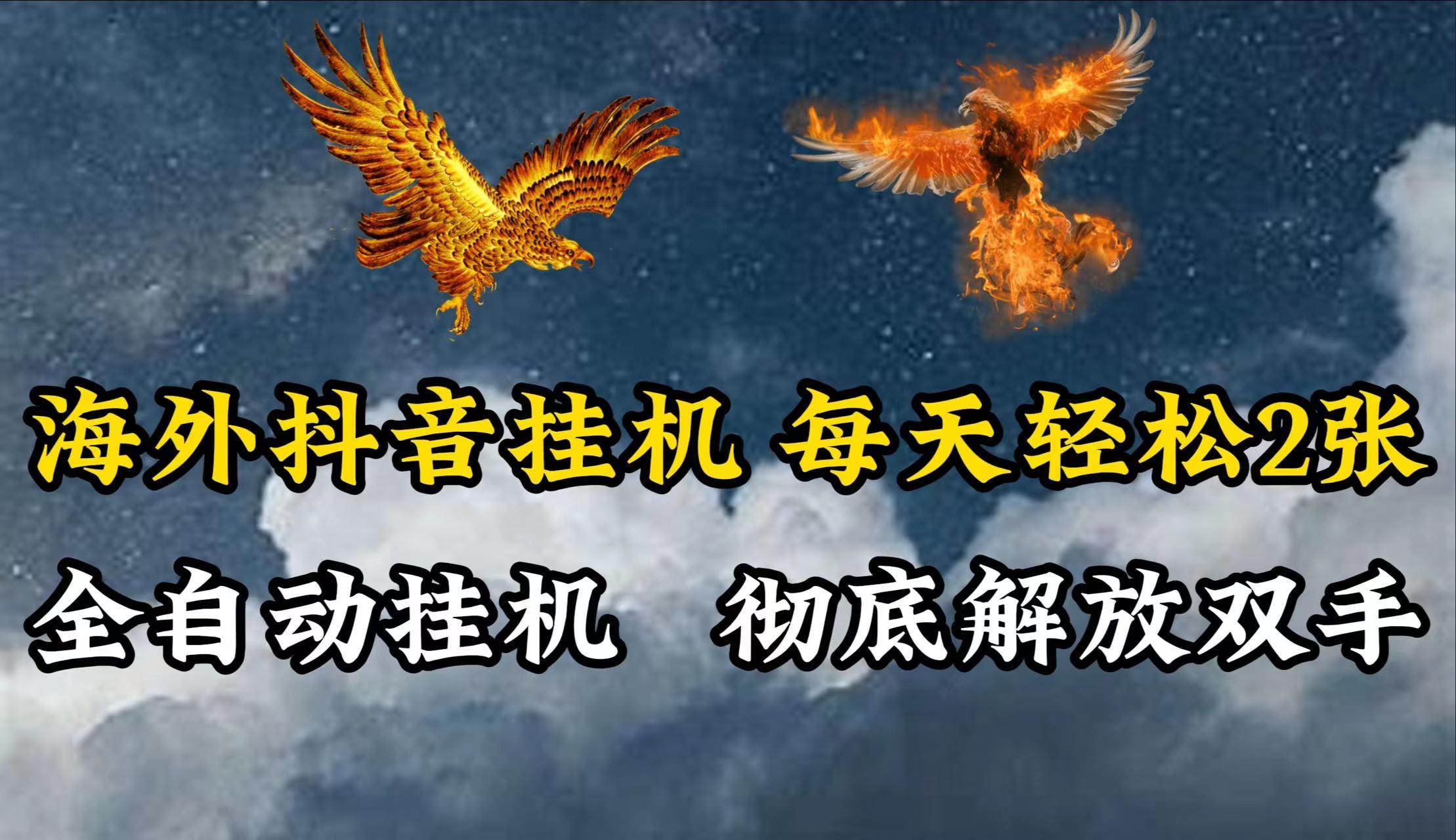 海外抖音挂机，每天轻松2张，全自动挂机，彻底解放双手！-点子口袋网