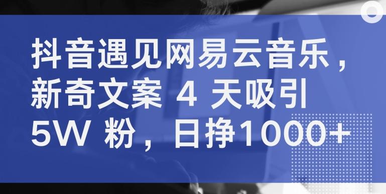 抖音遇见网易云音乐，新奇文案 4 天吸引 5W 粉，日挣1000+【揭秘】-点子口袋网