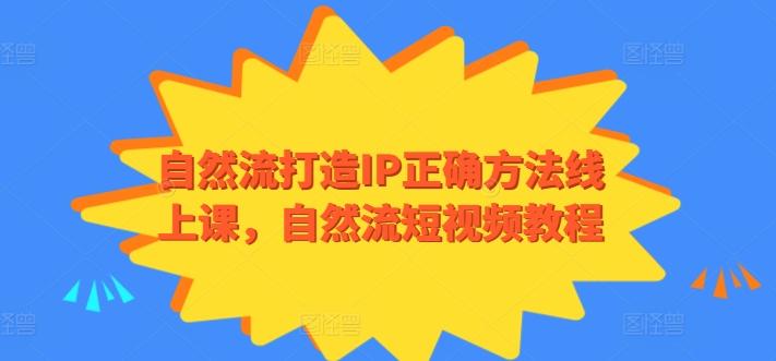 自然流打造IP正确方法线上课，自然流短视频教程-点子口袋网