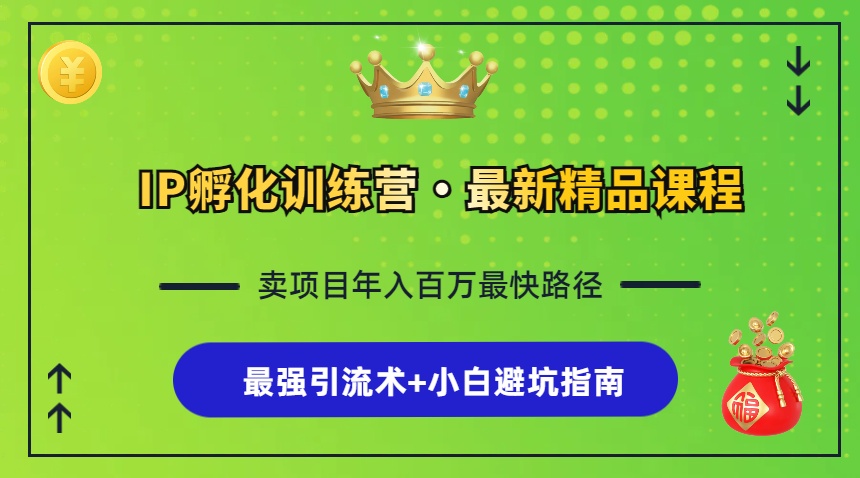 IP孵化训练营，知识付费全流程+最强引流术+小白避坑指南-点子口袋网