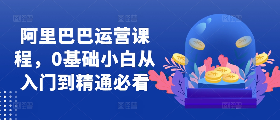 阿里巴巴运营课程，0基础小白从入门到精通必看-点子口袋网