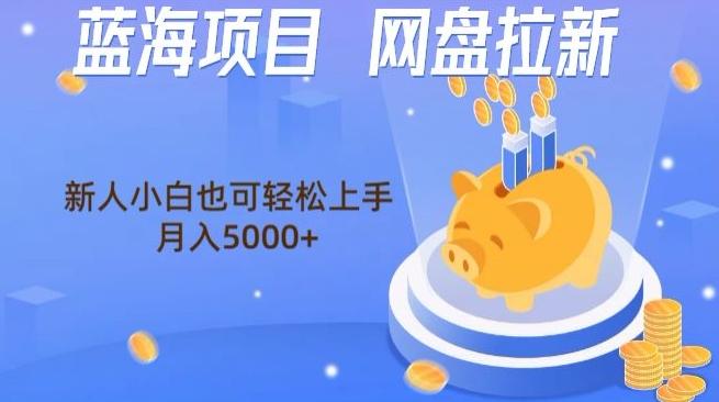 蓝海项目网盘拉新，新人小白也可操作，每月收入5000+-点子口袋网