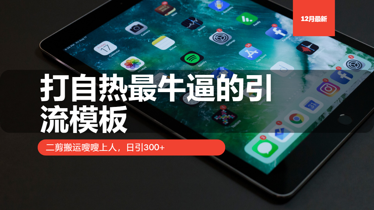 打自热最牛逼的引流模板，二剪搬运嗖嗖上人，日引300+-点子口袋网