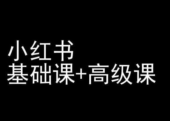 小红书基础课+高级课-小红书运营教程-点子口袋网